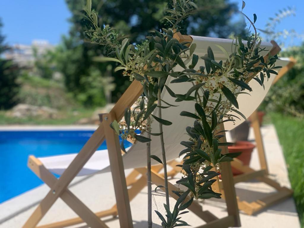 Guesthouse P&A Budva Kültér fotó